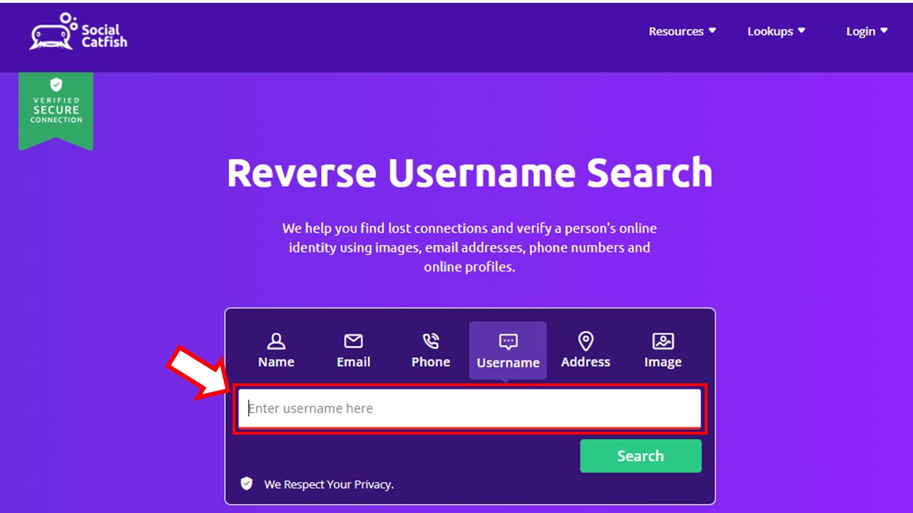 Social Catfish Reverse Username dashboard