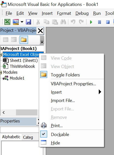 MS VBA Project Explorer