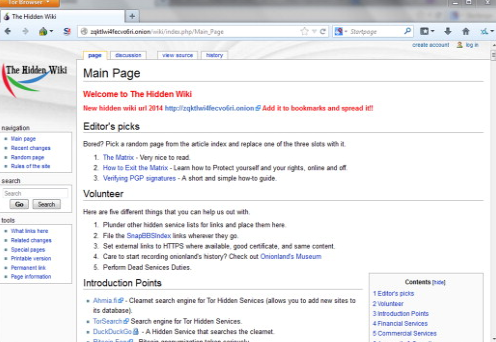 A Rejtett Wiki sötét webes keresőmotor kezdőlapja
