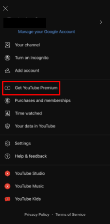 Képernyőkép a YouTube-ról Get YouTube Premium Option